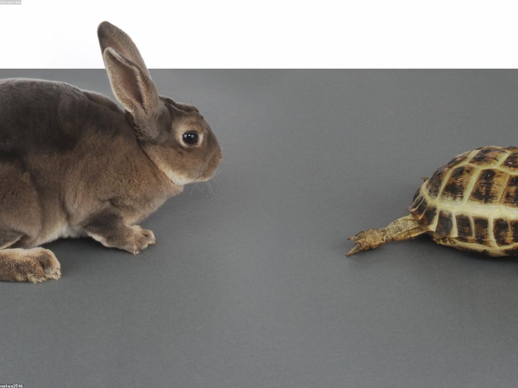 វិធីសាស្ត្រប្រកួតសម្រាប់ការប្រកួតជោគជ័យ