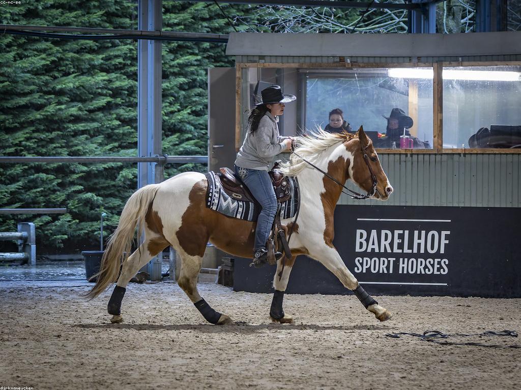 កម្រិតនៃការប្រកួតក្នុងទីផ្សារ